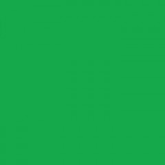 Cricut Infusible Ink Transfer Sheets - Bright Green Cricut Infusible Ink Transfer Sheets - Bright Green