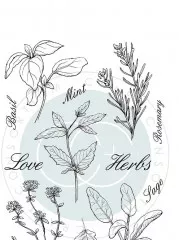 Clear Stamps - The Herbarium Herbs