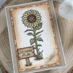 Clear Stamps - Sam Poole Sunshine