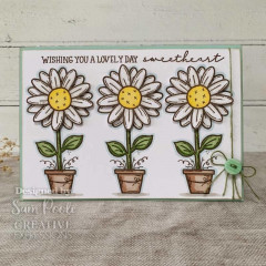 Clear Stamps - Sam Poole Daisy Bloom