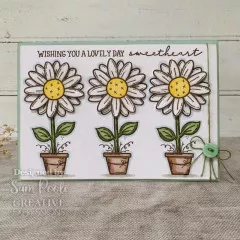 Clear Stamps - Sam Poole Daisy Bloom