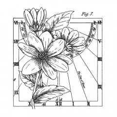 Unmounted Rubber Stamps - The Line of Hours