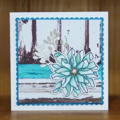 Clear Stamps - Flower Power