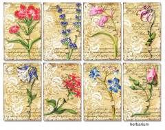 Herbarium Mini Paper Pack