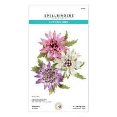 Verpackung mit drei gestanzten Sterndolden-Blüten in Rosa, Weiß und Violett samt Blättern.