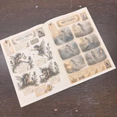 Aufgeschlagene Doppelseite: links Distel-Kobolde in Sepiatönen, rechts ein Bogen halbtransparenter "Mist Fairies" im Morgennebel.