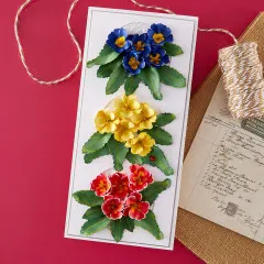 Karte mit blauen, gelben und roten Primelblüten-Clustern.