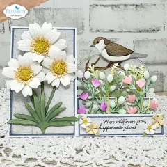 Weiß-gelbe Gänseblümchen-Karte mit Vogel, kombiniert mit Blattzweigen.