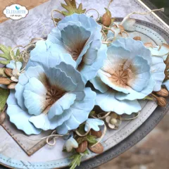 Nahaufnahme hellblauer Mohnblüten mit brauner Blütenmitte.