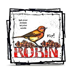Inspirationskarte mit Rotkehlchen und Schriftzug ROBIN