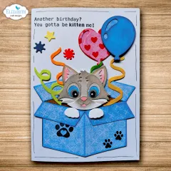 Karte mit Katze in blauer Box mit Pfotenmuster und Ballons.