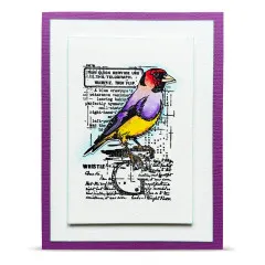Elegante Karte mit violettem Rand und mehrfarbigem Vogel-Abdruck