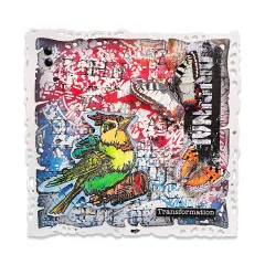 Bunte Karte mit Vogel, Schmetterlingen, Sternenmuster und Transformation
