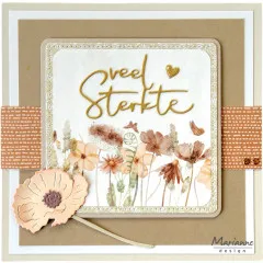 Quadratische Karte mit Wiesenblumen-Motiv im gestanzten Rahmen, goldenem veel sterkte und Mohnblüte