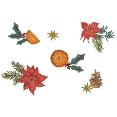 Kolorierte Motive aus Orangenscheibe, rotem Weihnachtsstern, Tannenzapfen und Sternanis, freigestellt ohne Verpackung.