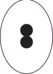 Perforierstift neu: 2er Split