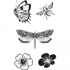 Cling Stamps - Butterfly Specifics