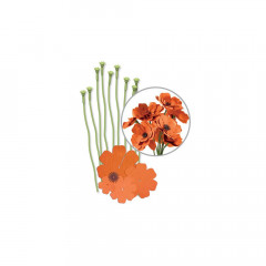 W R Crepe Paper Flower Kit - orange