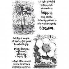 Darkroom Door Cling Stamps - Botanical Script