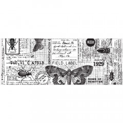 Idea-Ology Collage Paper - Entomology