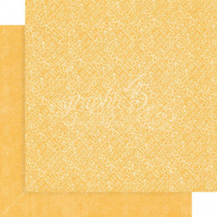 Well Groomed 12x12 Solid and Pattern Paper Pad