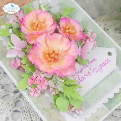 Nahaufnahme der pastellfarbenen Fatzkarte mit Mohnblüten und Vögeln, Spruch „In the garden of time, bloom at your own pace“.