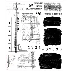 Stempelbogen mit Vintage-Naturkunde-Texten, Zahlen und Tintenflächen zum Motiv „Wings & Things".