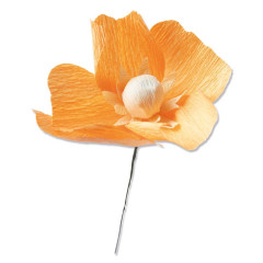 Thinlits Die Set - California Poppy