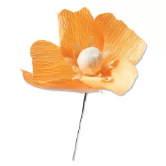 Thinlits Die Set - California Poppy