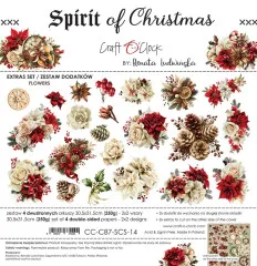 Spirit Of Christmas - Extras Set - Flowers by Renata Ludwinska