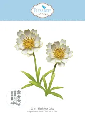 Verpackung des Stanzformen-Sets "Blackfoot Daisy" mit Gänseblümchen-Dies in mehreren Größen.