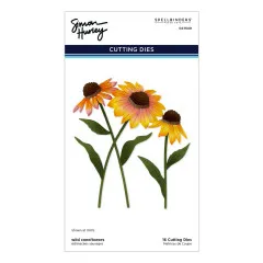 Verpackungsvorderseite mit drei fotorealistisch kolorierten Sonnenhut-Blüten (Wild Coneflowers) auf Stielen mit Blättern, in Gelb-Orange-Rosa