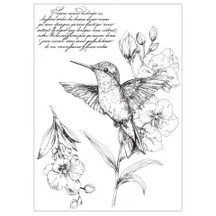 Schwarzweiß-Stempelmotiv eines Kolibris an Orchideenblüten mit französischem Schriftzug