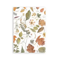 Washi-Papier Bogen mit Herbstblättern, Blüten und botanischen Benennungen