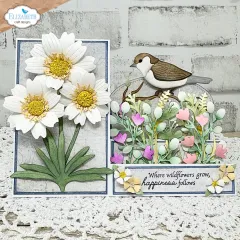 Weiße Gänseblümchen mit Vogel und rosa Wildblumen, Spruch „Where wildflowers grow, happiness follows“.
