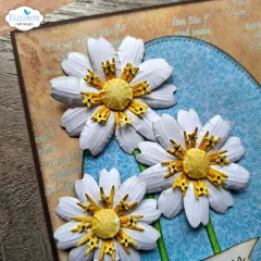 Nahaufnahme weißer Gänseblümchen mit gelbem Zentrum auf strukturierter Karte.